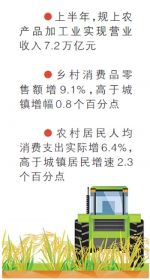 上半年农民收入增6.6% 农业农村经济稳中向好 - 人民代表大会常务委员会