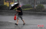 8月25日，受台风“白鹿”影响，厦门遭遇大风暴雨。图为厦门市民在大雨中出行。 中新社记者 张斌 摄 - 福建新闻