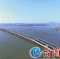 漳江湾特大桥正式通车 为漳州境内最长跨海大桥 - 新浪