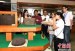 　　海外华文媒体代表参访天福茶博物院，体验中国茶文化。　王东明 摄 - 福建新闻