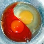 家养老母鸡生下血红色蛋清的蛋 医生建议不食用 - 新浪