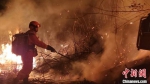 此次森林火灾过火面积约250亩，没有造成人员伤亡。福建省森林消防总队供图 - 福建新闻