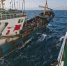 海警舰艇靠近被撞渔船的同行渔船救助船员。(海警供图) - 福建新闻