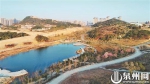晋江市区最大自然生态公园 崎山公园明年10月正式开园 - 新浪