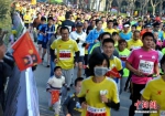 资料图：厦门国际马拉松赛吸引许多市民举家参赛。中新社发 张斌 摄 - 福建新闻