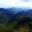 资料图：鸟瞰武夷山国家自然保护区。王东明 摄 - 福建新闻