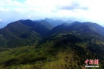 资料图：鸟瞰武夷山国家自然保护区。王东明 摄 - 福建新闻