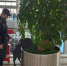 警犬“黑风”已经第6年参加春运安保。图为在福州火车站，工作中的程代星和“黑风” 严万星 摄 - 福建新闻
