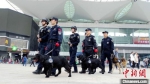 图为春运期间，训导员和警犬们一起亮相福州火车站。　严万星 摄 - 福建新闻