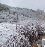 福建首场降雪美翻了 福州最低温跌破0℃(图) - 新浪