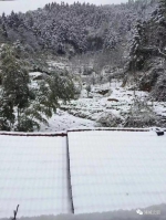 福建首场降雪美翻了 福州最低温跌破0℃(图) - 新浪