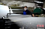 图为2月13日，福州台资企业福华纺织印染公司，工人带着口罩在车间作业。中新社记者 王东明 摄 - 福建新闻