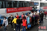 26日，五辆大巴车接连抵达福州，首批209名湖北籍务工人员返榕返岗。　吕明 摄 - 福建新闻