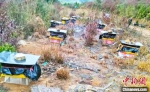 图为位于山中的蜂蜜养殖场。　陈思明 摄 - 福建新闻