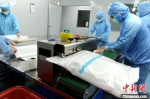 康博医疗科技公司的无菌车间内，工人忙于赶制着医用防护服。　张金川 摄 - 福建新闻