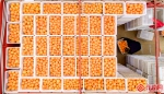 20吨“长江最甜的橙”！宜昌秭归向福建医疗队表达感激之情 - 新浪