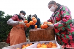 20吨“长江最甜的橙”！宜昌秭归向福建医疗队表达感激之情 - 新浪