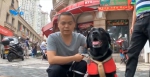 暖心！厦门首只导盲犬“宝六”：用我一生，做你的眼 - 新浪
