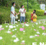 福州花海公园再迎波斯菊“盛宴” 花朵犹如花间精灵 - 新浪
