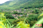 图为日前拍摄的海拔600多米的南高村，保留着古村落特色。 中新社记者 张金川 摄 - 福建新闻