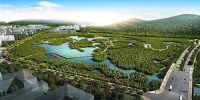 厦门下潭尾红树林湿地公园一期完工 系全省最大“城市绿肺” - 新浪