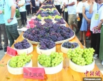 图为多种品种的葡萄。　林榕生 摄 - 福建新闻