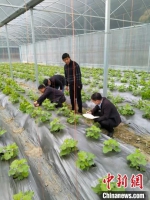 科技特派员到大棚指导农民种植农作物。　魏兴谷 摄 - 福建新闻