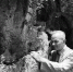 1957年6月，李四光在杭州飞来峰用放大镜察看石灰岩中的有孔虫化石。 新华社发（资料照片） - 人民代表大会常务委员会