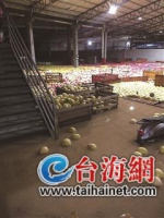 漳州平和下暴雨致百万斤蜜柚泡汤 有人损失近40万元 - 新浪
