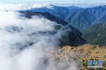 12月1日，武夷主峰黄岗山云雾缭绕，美若仙境（无人机照片）。 - 新浪