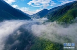 12月1日，武夷断裂带峡谷内云雾缭绕，风景如画（无人机照片）。 - 新浪