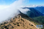 12月1日，车辆行驶在云雾缭绕的武夷主峰黄岗山顶（无人机照片）。 - 新浪