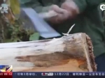 龙岩70岁老木匠用榫卯工艺做出中国版变形金刚 - 新浪