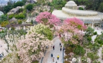 植物园，厦门日报记者黄嵘 摄 - 新浪