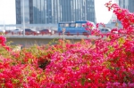 中国第一！厦门这个网红打卡点，六区美景尽收眼底… - 新浪