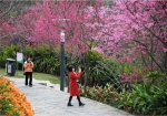中国第一！厦门这个网红打卡点，六区美景尽收眼底… - 新浪