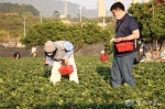 珍惜今明晴好天气！冷空气明晚就到，厦门天气大反转 - 新浪