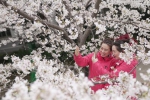 3月13日，武汉雷神山医院医护人员在樱花树下留影。 - 新浪