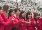 3月13日，上海第四批中医医疗队龙华医院医护人员在武汉大学樱花树下合影。 - 新浪