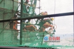 漳州漳浦：手指被卡在钢丝绳里 他趴在24楼高空钢管上求救 - 新浪