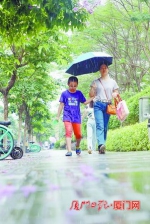 厦门明起三天仍是多阵雨或雷阵雨天气 最低气温为26℃ - 新浪