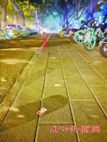 厦门：街边路面遭“小卡片”污染 夜里散落一地 - 新浪