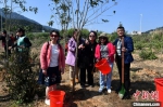 图为参加植树活动的两岸各界妇女代表及嘉宾在自己种的小树前合影留念。　吕明 摄 - 福建新闻
