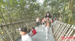 市民在福州福道漫步。福建日报记者 林熙 摄（资料图片） - 福建新闻