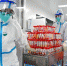 3月27日，漳州市医院朝阳分院的漳州市城市核酸检测基地内，医务人员有条不紊开展各项核酸检测工作。　张金川 摄 - 福建新闻