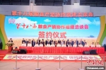 第十八届粮食产销协作福建洽谈会在福州开幕。　陈永整 摄 - 福建新闻