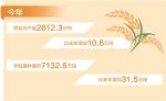 今年我国早稻产量2812万吨 为全年粮食丰收奠定了良好基础 - 人民代表大会常务委员会