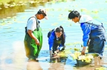 在莲花池里，青年演员在“莲花伯”简福川的指导下体验采挖莲藕。（同安区 供图） - 新浪